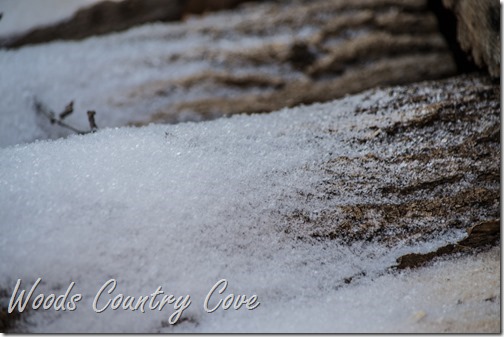 JANUARY 2016 (13 of 25)