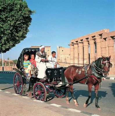 Séjour en Égypte en décembre 2023