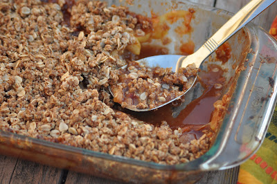 Recipes Apple Crisp on Gluten Free Vegan Apple Crisp Recipe I Am A Big Fan Of Just About Any