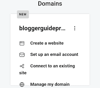 Domain showing in GoDaddy