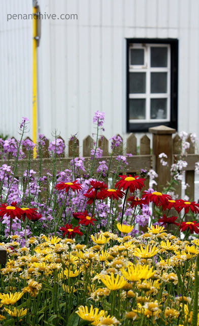 garden in iceland