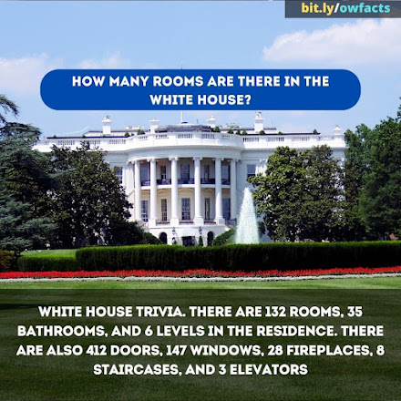 WTF Fun Fact - How many rooms are there in the White House?