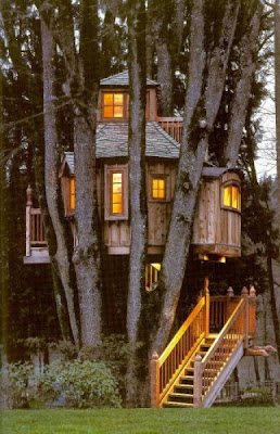 Beautiful Tree Houses ever built
