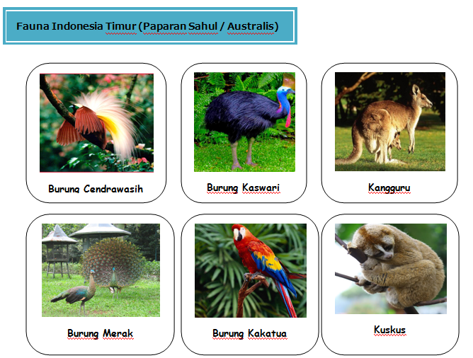 Persebaran Fauna di Indonesia 