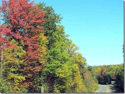 fallcolors10-10-10c