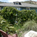View album