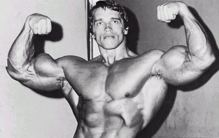 arnold schwarzenegger body now. Body Building