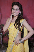 Aksha pardasany latest hot pics-thumbnail-12