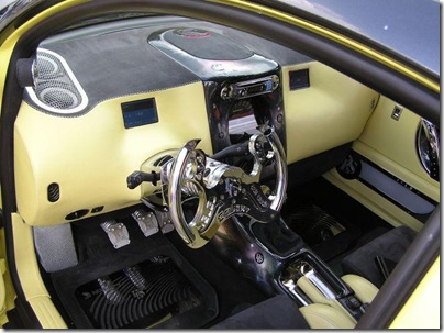 beetle xun (6)