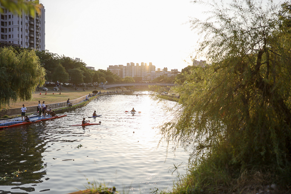 台中大里|興大康橋水岸公園|景觀橋|阿勃勒|落羽松|大里最美河畔