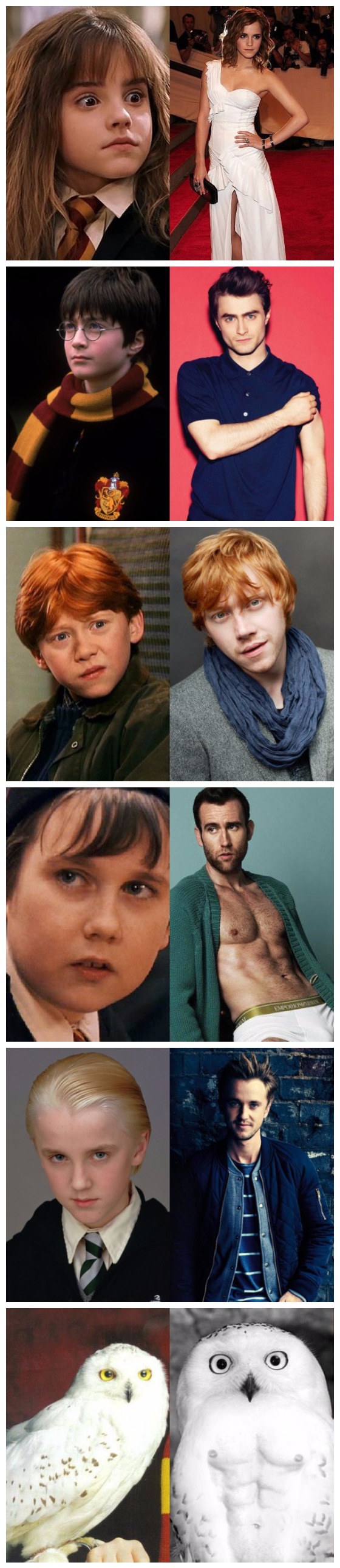 Harry Potter Cast Then And Now ~ The Oddest Box