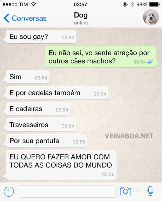 8 Mensagens se meu #cachorro tivesse #Whatsapp - 