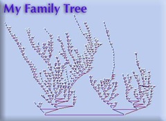 family tree