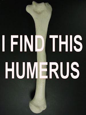 I find this 'humerus!'