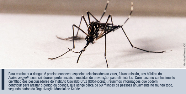 Dengue - Vírus e Vetor