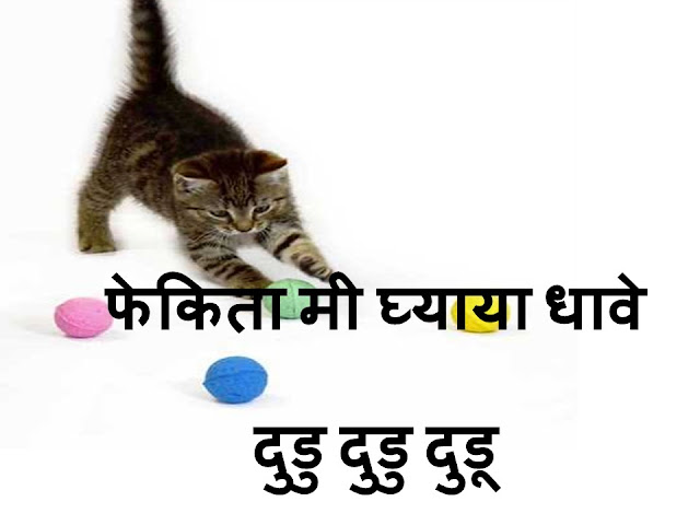 छान छान छान मनीमाऊचं बाळ (मराठी बालगीत) | Kitten Song - Marathi Baalgeet