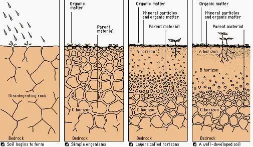 Weathering and Soil