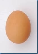 burn egg