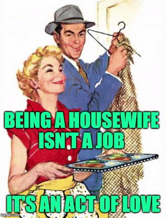 Being a housewife isn't a job, it's an act of love! Sayings & Memes by JenExxifer