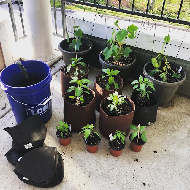 Container gardening: Small Garden, Large Yields