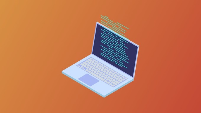 Python basic level [Free Course]