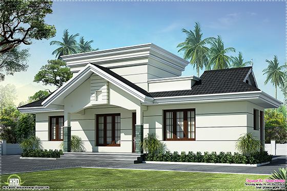 eco friendly houses: Nano home plan and elevation in 991 square feet