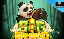 Big Bamboo Slot