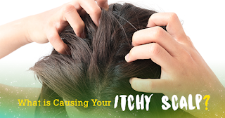Five Most Common Hair Problems You Ought  To Know