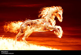 Fire Horse Wallpapers