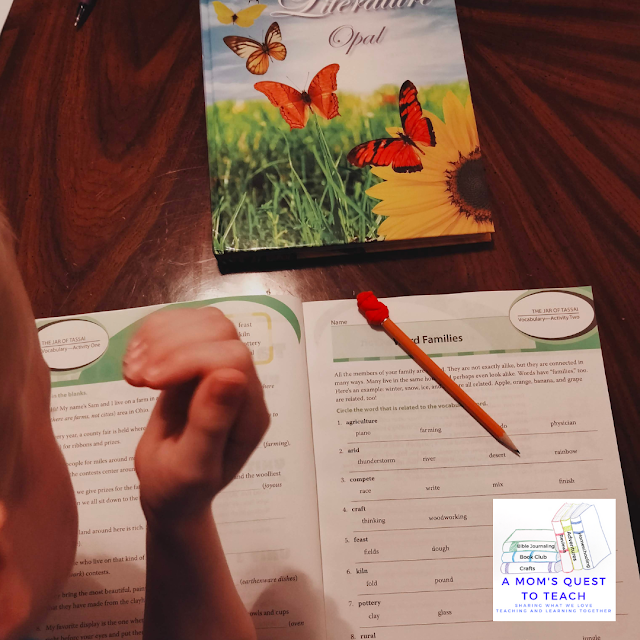 A Mom's Quest to Teach: On the Homeschooling Journey During the Summer - Finding the Right Materials Mosdos Literature Opal workbook and textbook