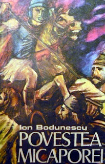 Ion Bodunescu - Povestea Micaporei