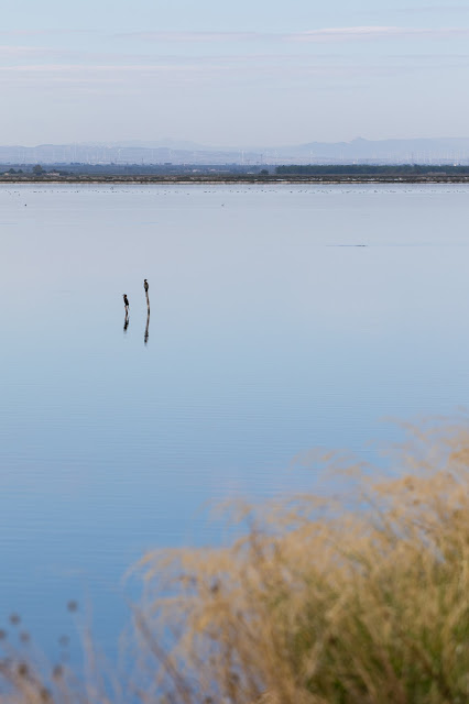 Saline di Margherita di Savoia