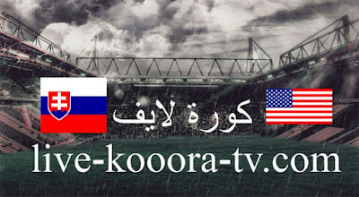 مباراة أمريكا وسلوفاكيا