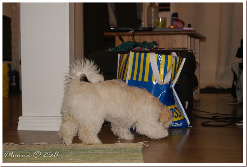 SONY DSC