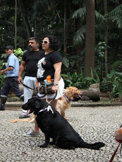 Caonhecendo 7 (48)