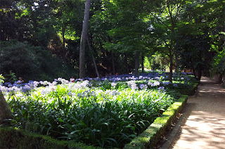 Shady gardens - Laberynth Park on Barcelona Sights Blog