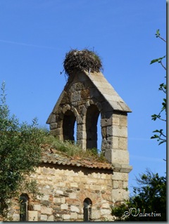 P1020831
