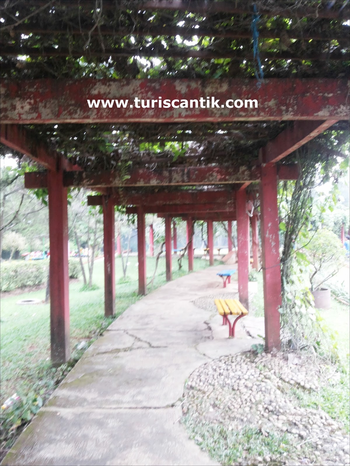 Piknik di  Taman  Bunga  Wiladatika Cibubur  Turis Cantik