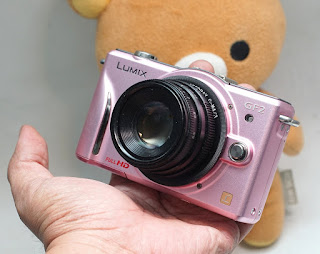 Mirrorless Panasonic DMC-GF2W