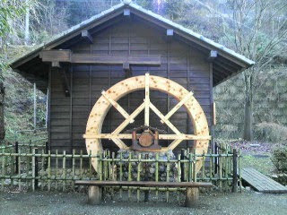 2008121821050001.jpg