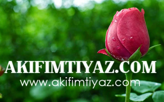   AKIFIMTIYAZ.COM 