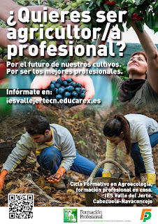 FORMACIÓN PROFESIONAL EN EL VALLE DEL JERTE. VALLE DEL JERTE. CICLO FORMATIVO EN AGROECOLOGÍA. IES VALLE DEL JERTE.