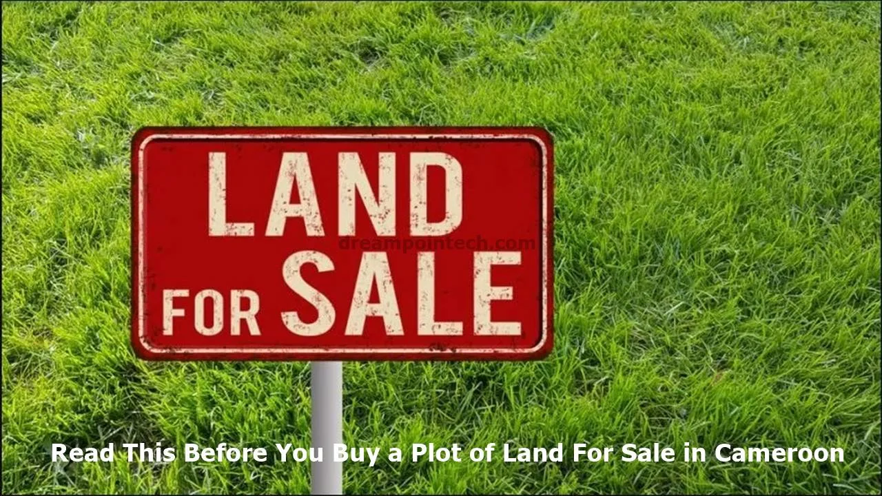 Read This Before You Buy a Plot of Land For Sale in Cameroon