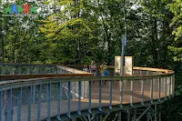 W niewielkiej miejscowości Ciężkowice,  w województwie małopolskim, w lipcu 2023 otwarto nową atrakcję turystyczną - Ścieżkę w Koronach Drzew.