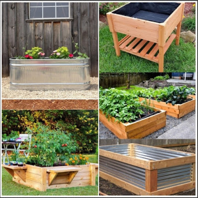 Variasi raised bed