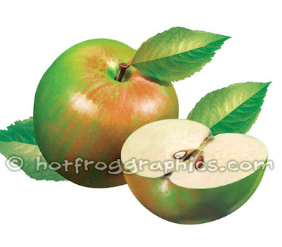 illustration of Apples on white background