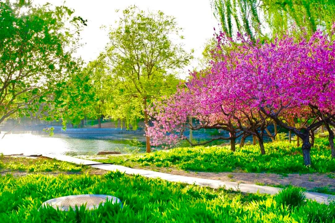 Beijing E-Town in Spring: A Blend of Nature, Progress, and Festivities