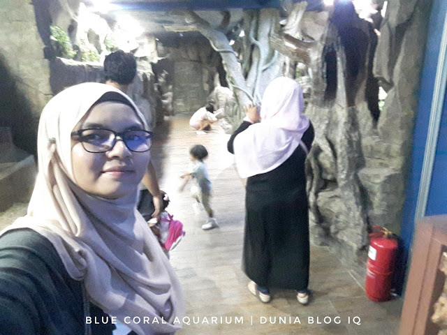 Blue Coral Aquarium Di Menara Kuala Lumpur - Berbaloi Atau Tidak?