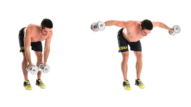 Dumbbell Bent Over Reverse Flies