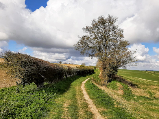 The bridleway heading W out of Wallington